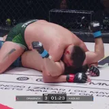 'Div' svom silom laktao bosanskohercegovačkog vojnika