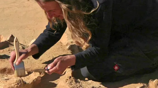 Doručak star 7.500 godina: Jaja iz pustinje koja nisu trebala u muzej, nego su čekala tavu