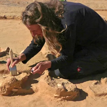 Doručak star 7.500 godina: Jaja iz pustinje koja nisu trebala u muzej, nego su čekala tavu