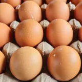 Hitno upozorenje Državnog inspektorata: Povučena jaja s istoka Hrvatske