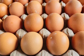 Hitno upozorenje Državnog inspektorata: Povučena jaja s istoka Hrvatske