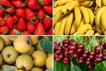 Ako slu&scaron;a&scaron; domaće hitove, bez puno muke znat će&scaron; koje se voće krije u tekstovima: Dokaži se