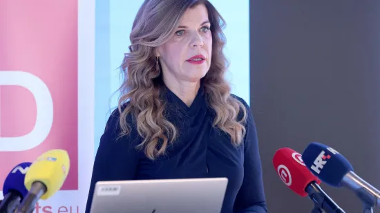 Borzan upozorila na opasan megazakon iz Bruxellesa: 'Bit ćemo kao Amerikanci'