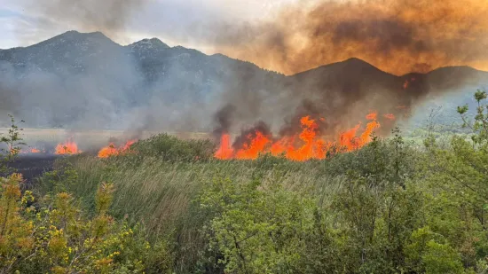 Veliki požar bukti u dolini Neretve: Vatra guta sve pred sobom, objavljene fotografije
