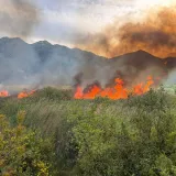 Veliki požar bukti u dolini Neretve: Vatra guta sve pred sobom, objavljene fotografije