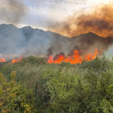 Veliki požar bukti u dolini Neretve: Vatra guta sve pred sobom, objavljene fotografije