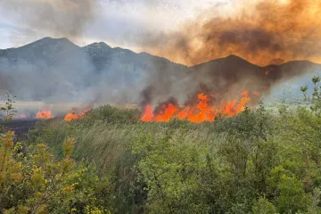 Veliki požar bukti u dolini Neretve: Vatra guta sve pred sobom, objavljene fotografije