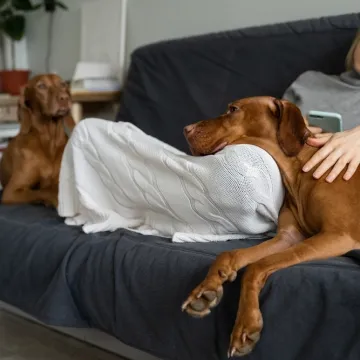 Veterinarka upozorava vlasnike pasa: Ne čekajte ako primijetite ove simptome