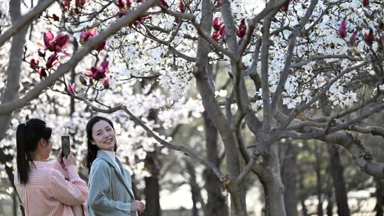 Nasmijani prolaznici i &scaron;areni prizori: Savr&scaron;ene fotografije skrivaju surovu stvarnost