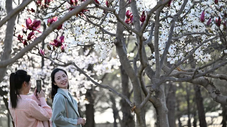 Nasmijani prolaznici i &scaron;areni prizori: Savr&scaron;ene fotografije skrivaju surovu stvarnost