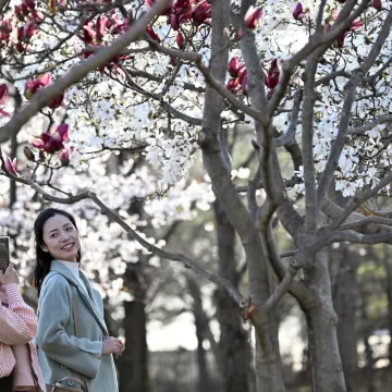 Nasmijani prolaznici i &scaron;areni prizori: Savr&scaron;ene fotografije skrivaju surovu stvarnost