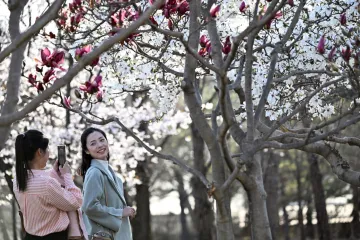 Nasmijani prolaznici i &scaron;areni prizori: Savr&scaron;ene fotografije skrivaju surovu stvarnost