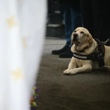 Na pogrebu Vujo&scaron;eviću i njegova labradorica: Potresni detalj pokazuje posebnu ljubav između njih
