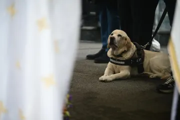 Na pogrebu Vujo&scaron;eviću i njegova labradorica: Potresni detalj pokazuje posebnu ljubav između njih