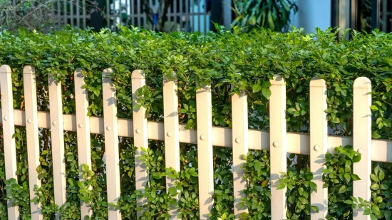 Očistite drvenu ogradu za deset minuta: Rije&scaron;ite se algi i mahovine s ovim sastojcima