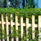 Očistite drvenu ogradu za deset minuta: Rije&scaron;ite se algi i mahovine s ovim sastojcima