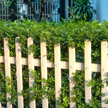 Očistite drvenu ogradu za deset minuta: Rije&scaron;ite se algi i mahovine s ovim sastojcima