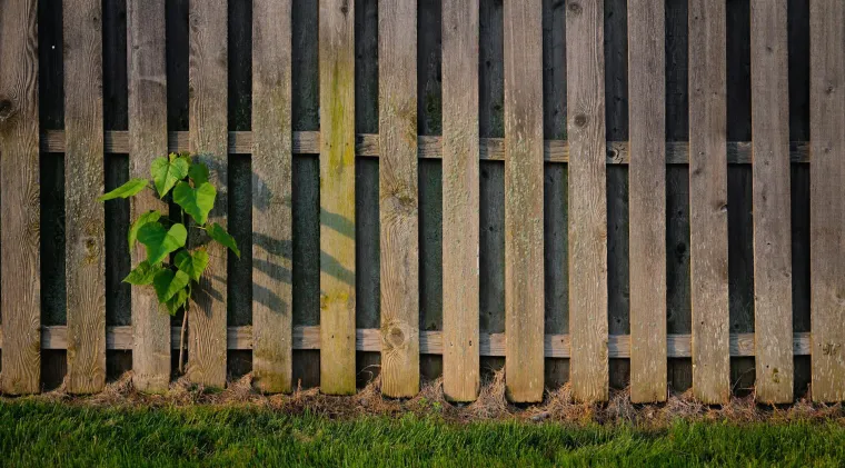 Očistite drvenu ogradu za deset minuta: Rije&scaron;ite se algi i mahovine s ovim sastojcima