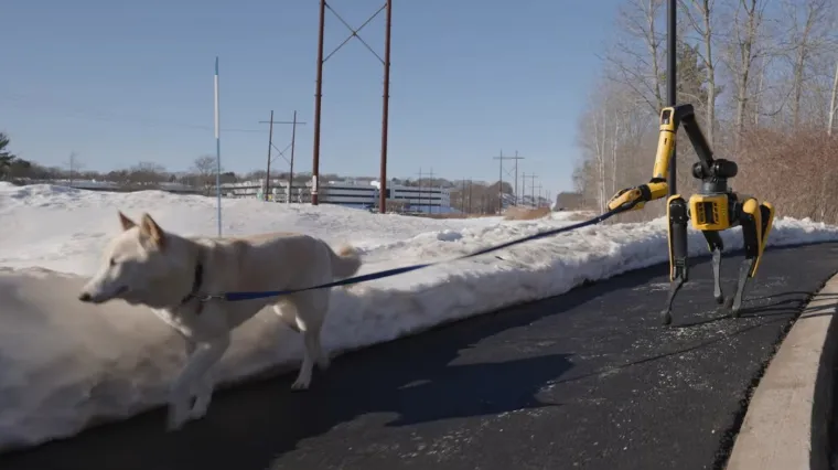 Nemate vremena za &scaron;etnju psa? On će bez problema to obaviti umjesto vas