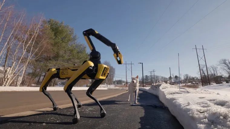 Nemate vremena za &scaron;etnju psa? On će bez problema to obaviti umjesto vas