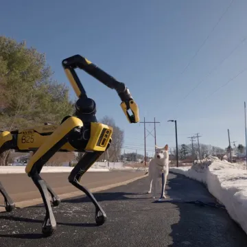 Nemate vremena za &scaron;etnju psa? On će bez problema to obaviti umjesto vas