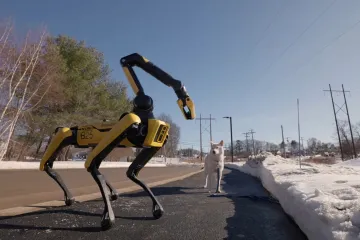 Nemate vremena za &scaron;etnju psa? On će bez problema to obaviti umjesto vas