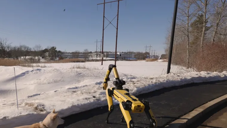 Nemate vremena za &scaron;etnju psa? On će bez problema to obaviti umjesto vas