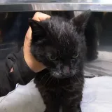 Tama je slijepa, gluha i bez zuba. Uskoro se gradi mjesto za takve poput nje: 'Imat će sve &scaron;to im treba'