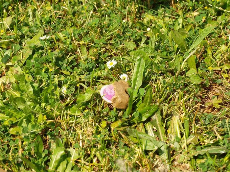 Borba protiv opasnog virusa u Hrvatskoj: Zrakoplovi će poletjeti s aerodroma, evo &scaron;to će bacati