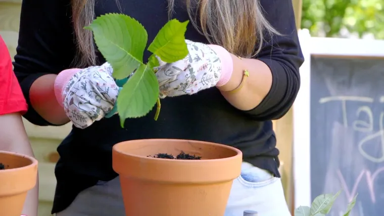 Tajne vrta: Pretvorite svoj balkon ili dvori&scaron;te u proljetnu oazu za djecu