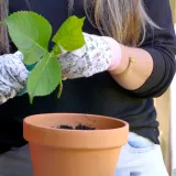 Tajne vrta: Pretvorite svoj balkon ili dvori&scaron;te u proljetnu oazu za djecu