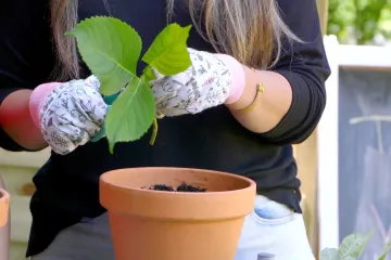 Tajne vrta: Pretvorite svoj balkon ili dvori&scaron;te u proljetnu oazu za djecu