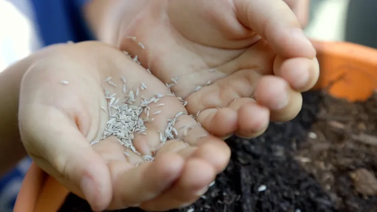 Tajne vrta: Pretvorite svoj balkon ili dvori&scaron;te u proljetnu oazu za djecu