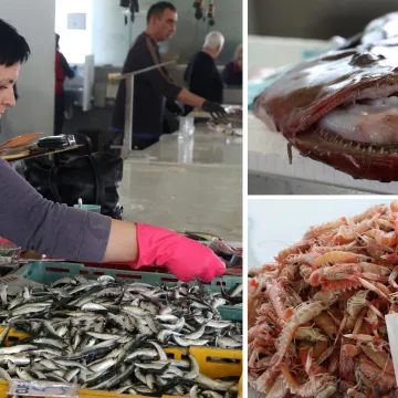 Orada 20, brancin 25, zubatac 30 eura, Pogledajte cijene ribe u ribarnici