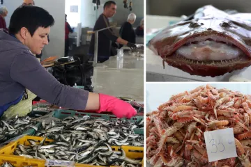 Orada 20, brancin 25, zubatac 30 eura, Pogledajte cijene ribe u ribarnici