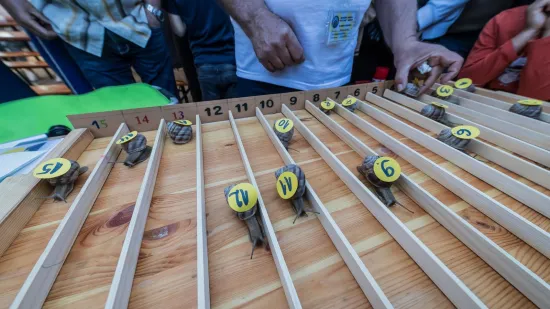 Je li ovo najzabavnija utrka u Hrvatskoj? Donosimo detalje: 'Želja nam je da postane tradicija'