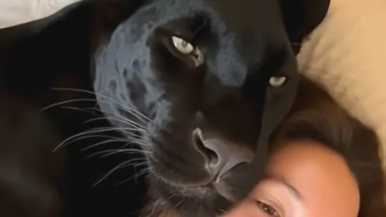 &Scaron;to kažete na ovog kućnog ljubimca?