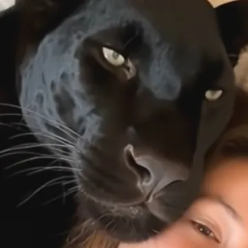 &Scaron;to kažete na ovog kućnog ljubimca?