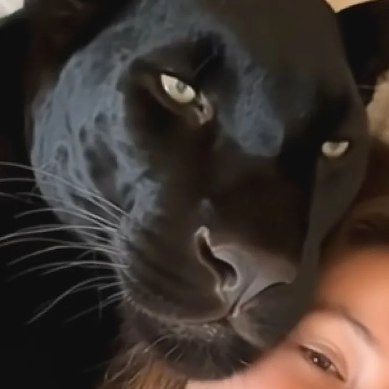 &Scaron;to kažete na ovog kućnog ljubimca?