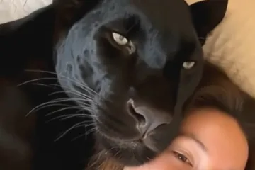 &Scaron;to kažete na ovog kućnog ljubimca?