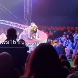 &Scaron;ire se dramatične snimke: Tigar usred cirkuske predstave skočio u publiku!