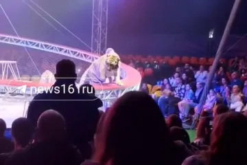 &Scaron;ire se dramatične snimke: Tigar usred cirkuske predstave skočio u publiku!
