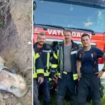 Vatrogasci spasili konja te&scaron;kog vi&scaron;e od pola tone: 'Bio je sretan, dali smo mu vode'