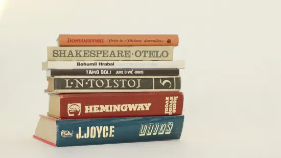 Ako volite književnost, sigurno su vam poznati likovi ovih djela: Nemojte razočarati rezultatom
