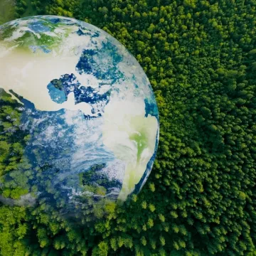 Nemojte zabrljati na ovom kvizu: Svaki stanovnik Zemlje trebao bi znati sljedeće činjenice