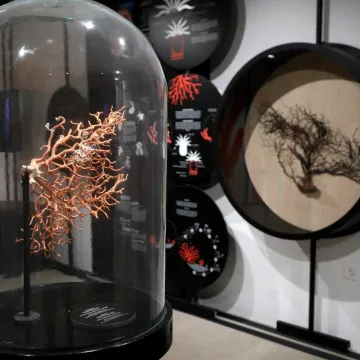 Hrvatski centar koralja Zlarin jedan je od dobitnika Europske nagrade za ba&scaron;tinu