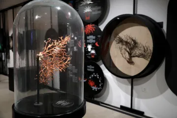 Hrvatski centar koralja Zlarin jedan je od dobitnika Europske nagrade za ba&scaron;tinu