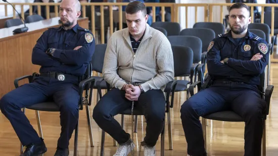 Mučni iskazi na suđenju Smažilu: Otkriveno &scaron;to su policajci rekli Mihaelinim roditeljima