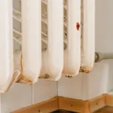 Zaboravite na ocat: Neočekivani saveznik iz hladnjaka uklonit će hrđu s radijatora u tren oka