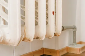 Zaboravite na ocat: Neočekivani saveznik iz hladnjaka uklonit će hrđu s radijatora u tren oka